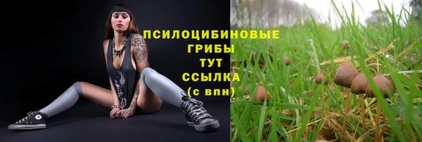 каннабис Алексин