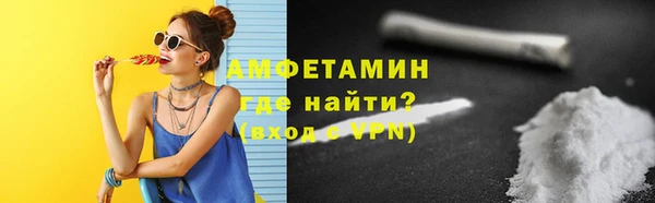 индика Арсеньев